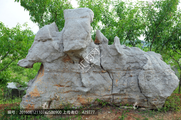 石頭,園林石,景觀石