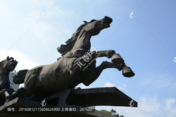駿馬