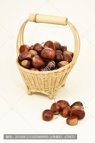 一提籃籃板栗