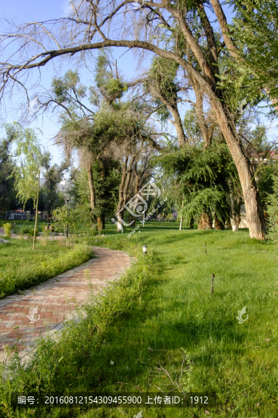 城市綠地