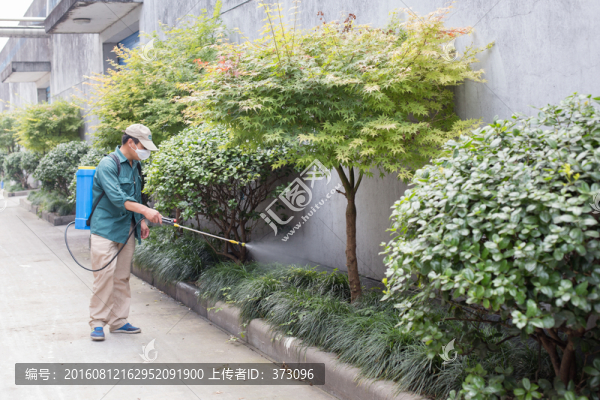 噴霧除蟲(chóng)的人