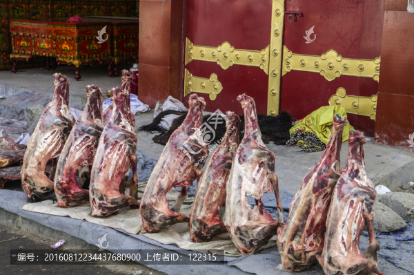 肉類(lèi)食品加工與銷(xiāo)售