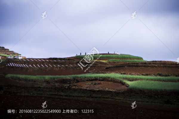 土地