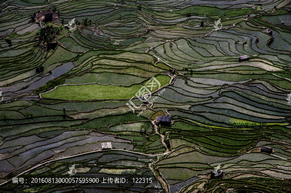 哈尼梯田