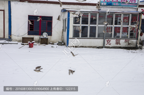可可西里不凍泉保護(hù)區(qū)