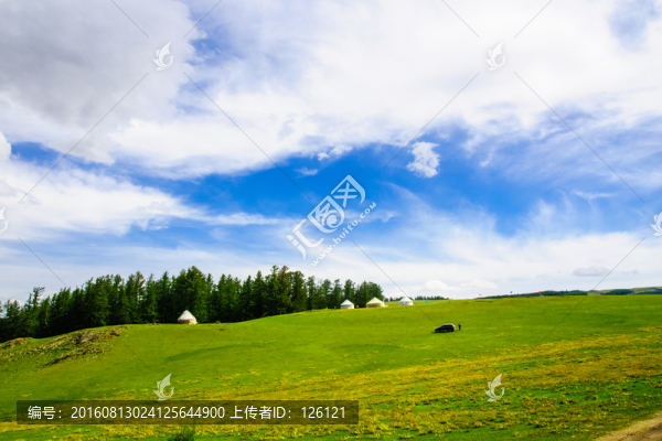 草原風光