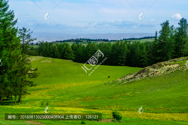 草原風(fēng)光