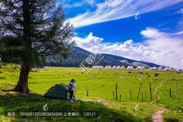 草原風(fēng)光