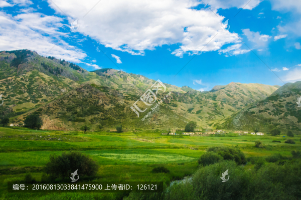 巴里坤風(fēng)光