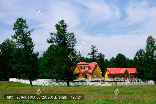 草原風(fēng)光