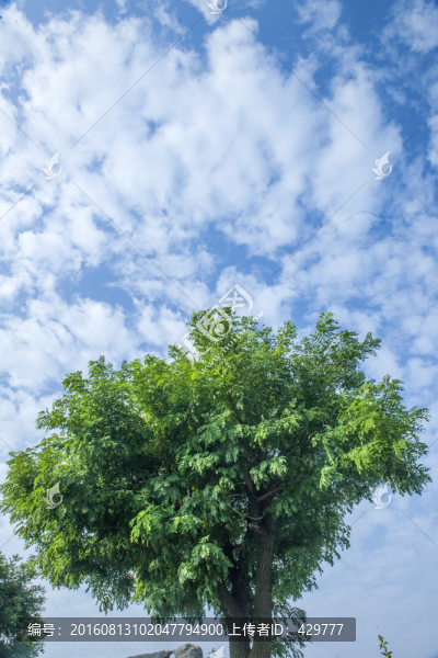 藍天白云,天空