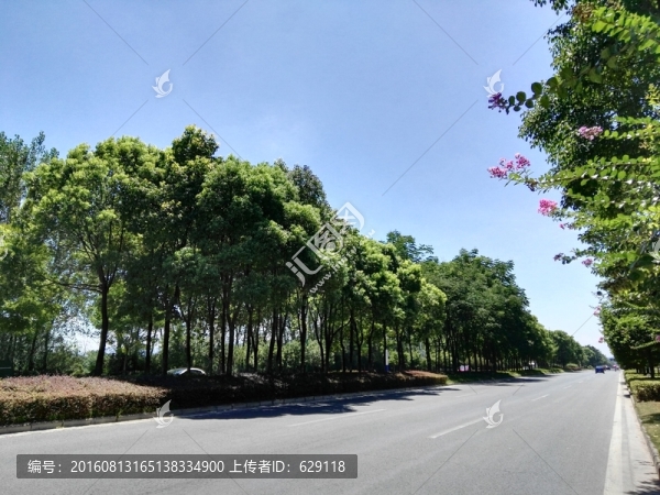 道路景觀