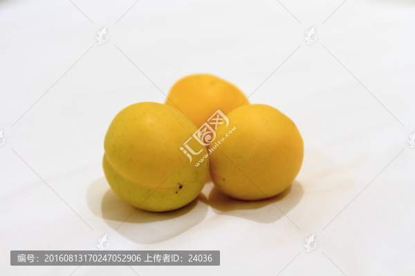 甘肅金媽媽杏