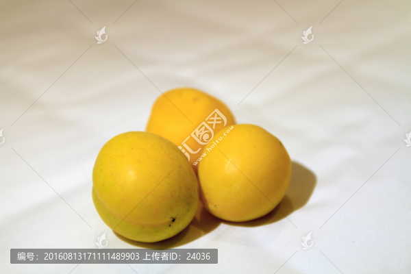 甘肅金媽媽杏