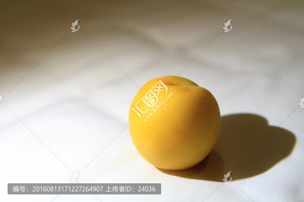 甘肅金媽媽杏