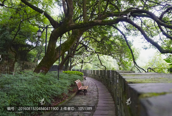 DSC01019公園長(zhǎng)椅
