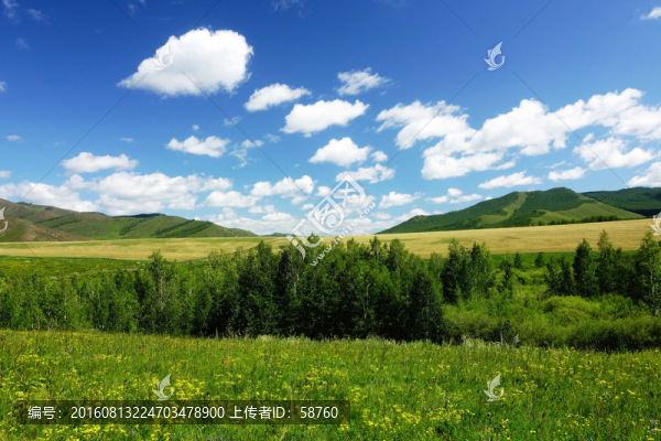 原野風(fēng)光