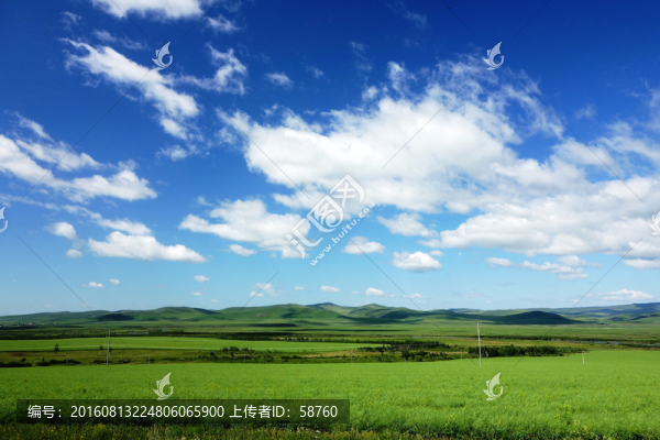 田野風(fēng)景