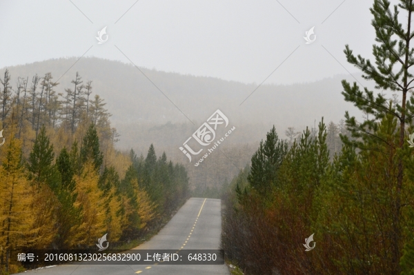 林區(qū)路