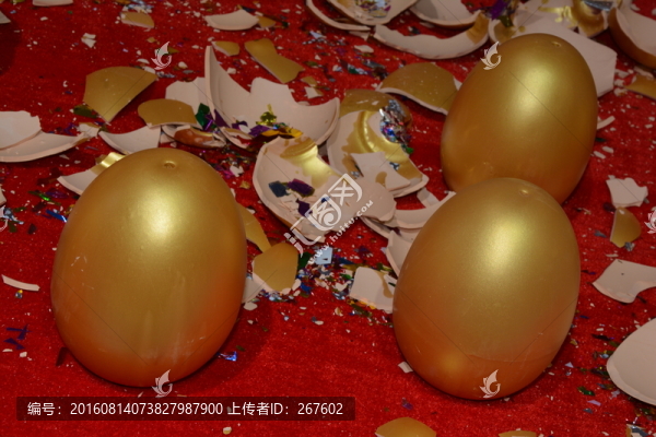 金蛋