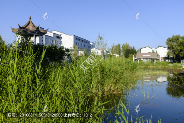 城市綠地