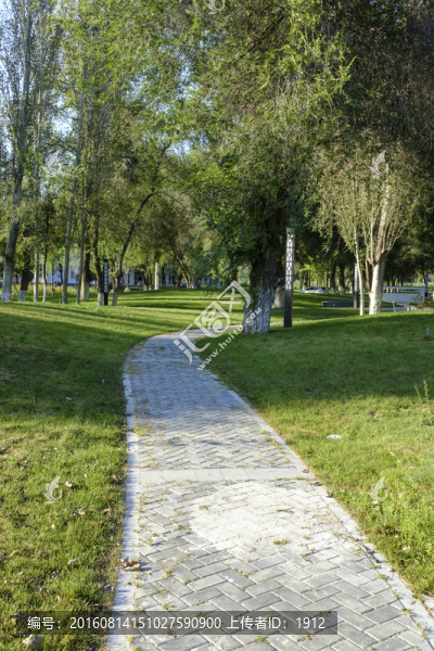 林中小路