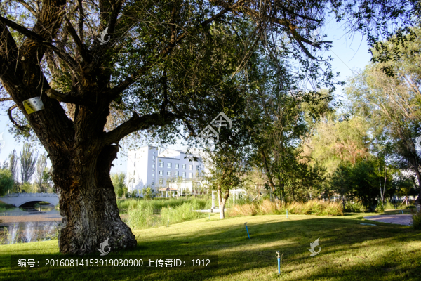 城市綠地