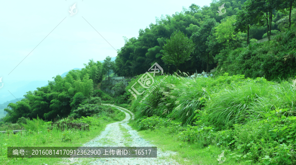 山間小路