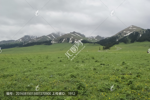 高山草原