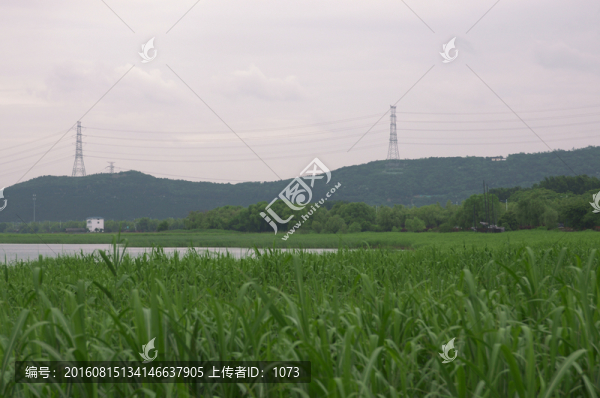 太湖某灣