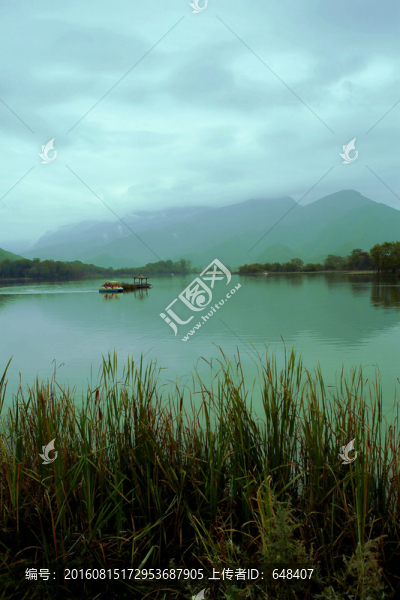 湖水,蘆葦,神農架大九湖