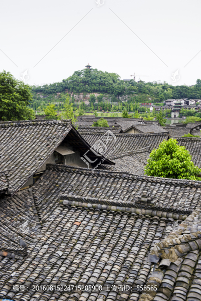 閬中古城,老房子屋頂