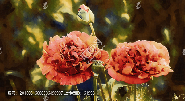 花卉裝飾畫