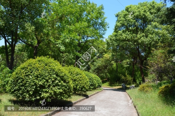林間小路