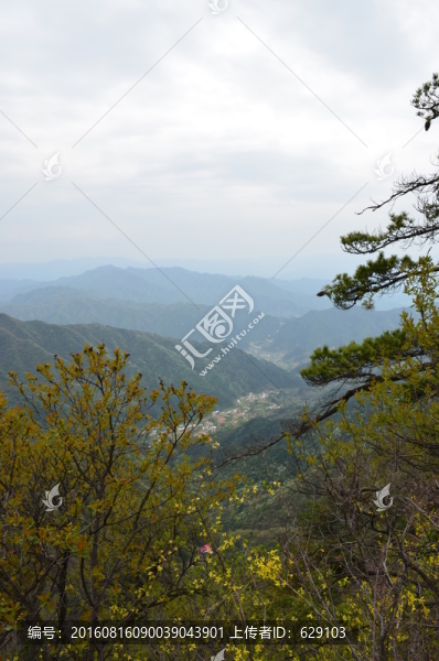 遠山