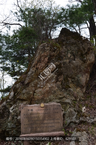 節(jié)理