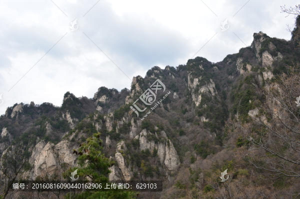 遠山