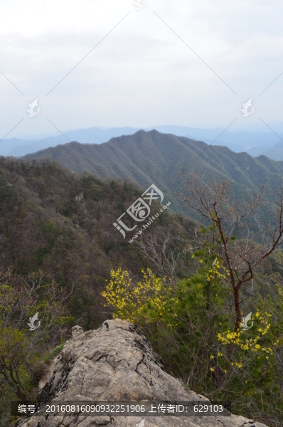 王順山