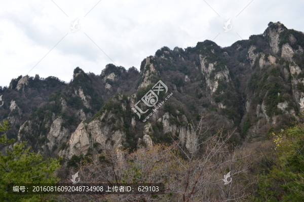 王順山