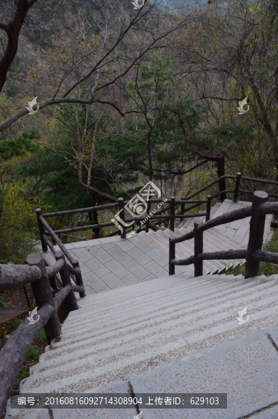 棧道