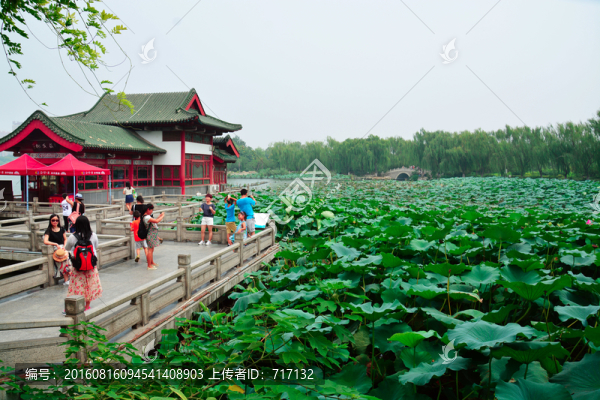 大明湖畔