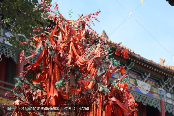 許愿樹