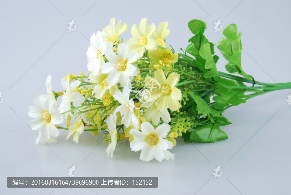 塑料花