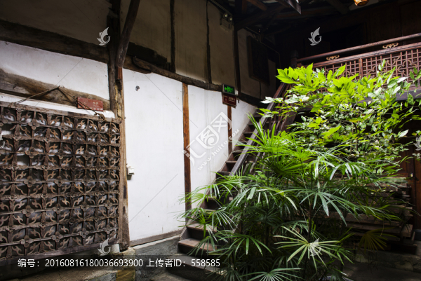 閬中古城,老房子
