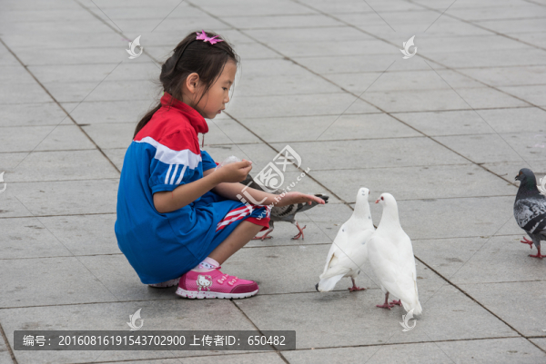喂鴿子的孩子