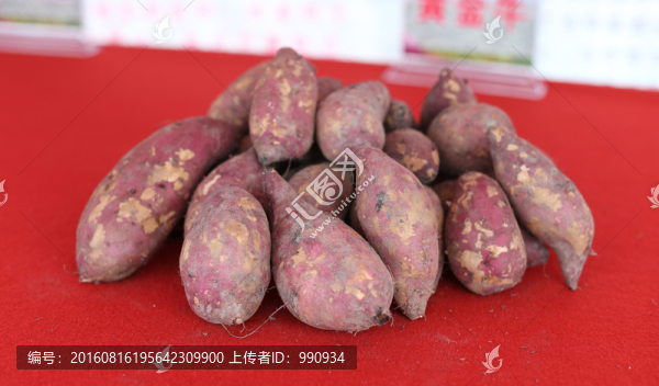 番薯