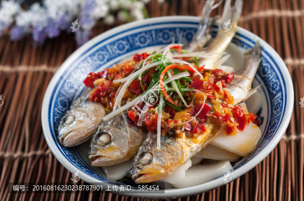 舟山小黃魚