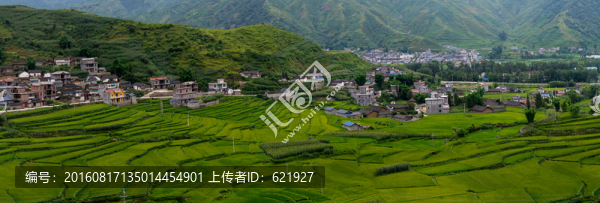 美麗田園