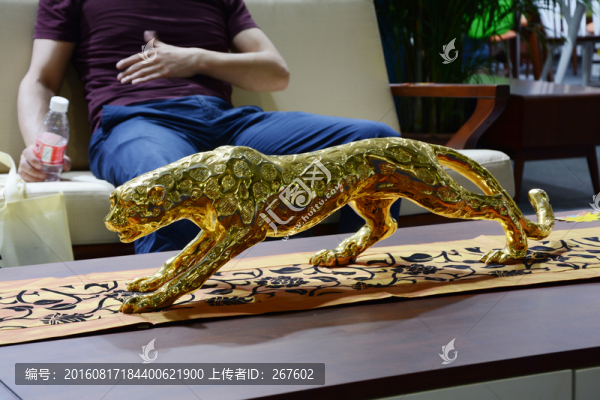 獵豹