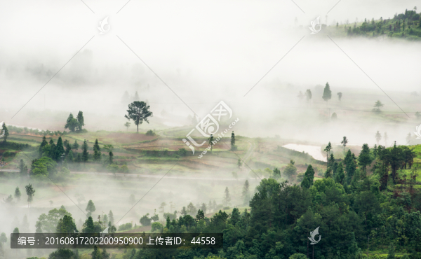 云霧,山林